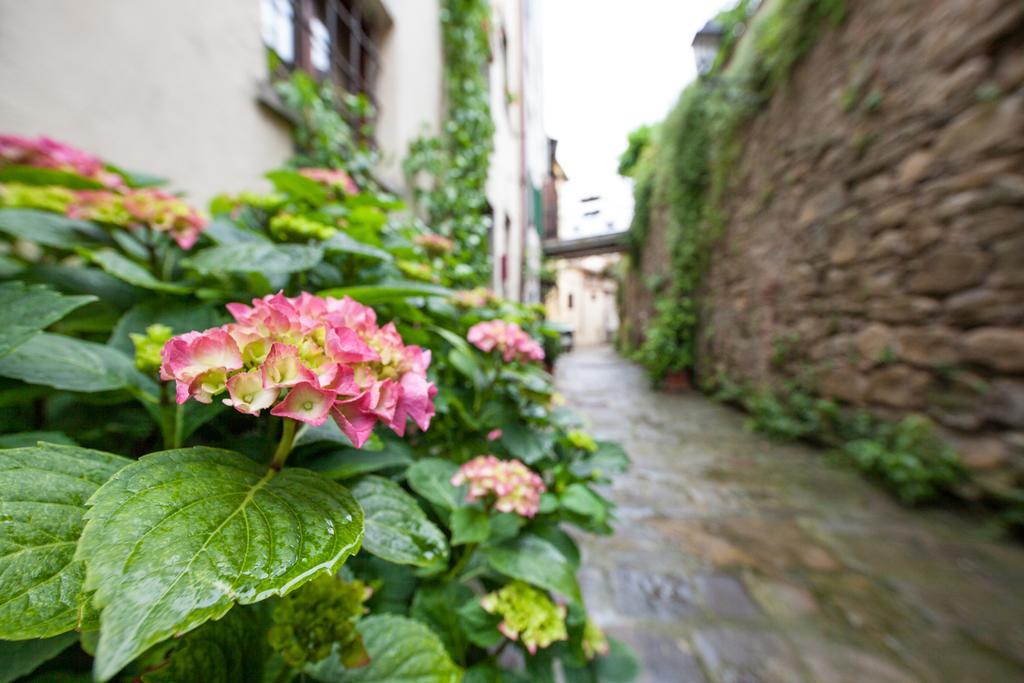 San Michele Al Borgo Bed and Breakfast Castiglion Fiorentino Exteriör bild